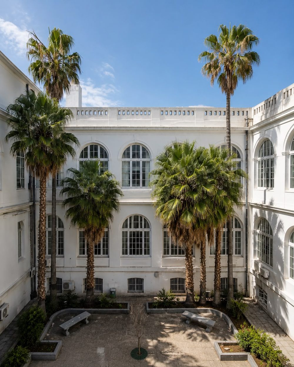 The palm courtyard at Hospital Maciel, Montevideo